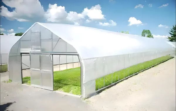 Custom greenhouse1